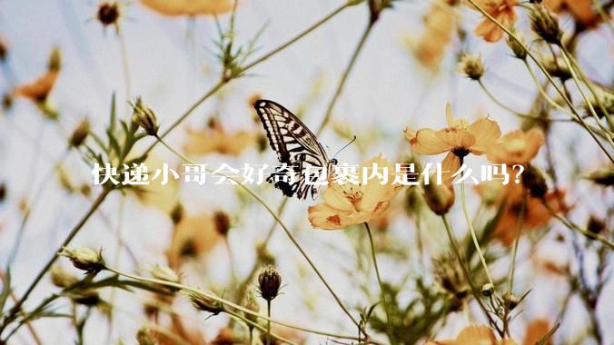 快递小哥会好奇包裹内是什么吗？
