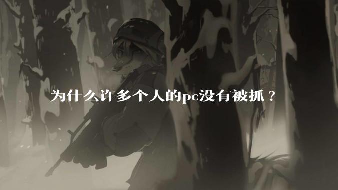 为什么许多个人的pc没有被抓?