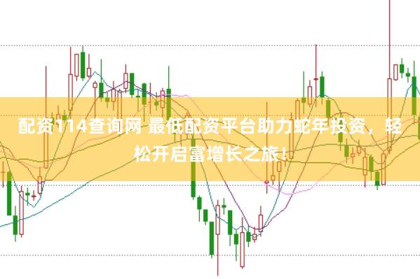 配资114查询网 最低配资平台助力蛇年投资，轻松开启富增长之旅！