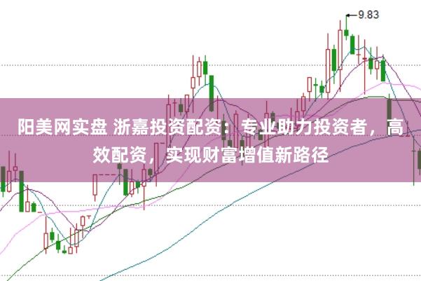 阳美网实盘 浙嘉投资配资：专业助力投资者，高效配资，实现财富增值新路径