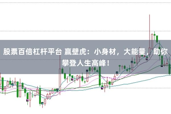 股票百倍杠杆平台 赢壁虎：小身材，大能量，助你攀登人生高峰！