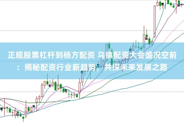 正规股票杠杆到杨方配资 乌镇配资大会盛况空前：揭秘配资行业新趋势，共探未来发展之路