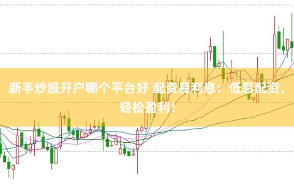 新手炒股开户哪个平台好 配资易利息：低息配资，轻松盈利！