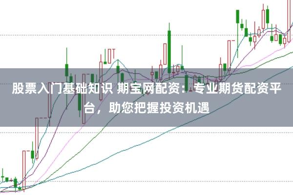 股票入门基础知识 期宝网配资：专业期货配资平台，助您把握投资机遇