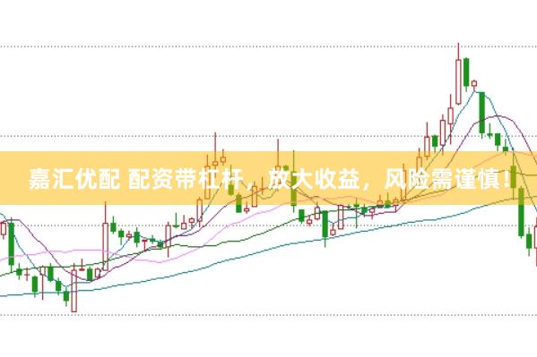 嘉汇优配 配资带杠杆，放大收益，风险需谨慎！