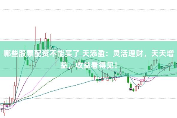 哪些股票配资不能买了 天添盈：灵活理财，天天增益，收益看得见！