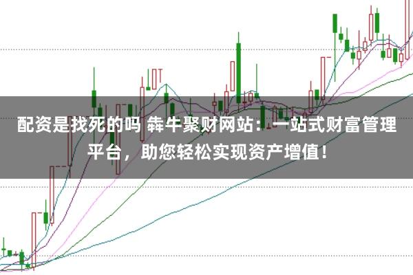 配资是找死的吗 犇牛聚财网站：一站式财富管理平台，助您轻松实现资产增值！