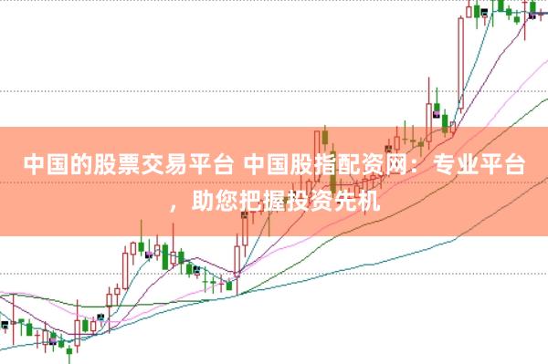 中国的股票交易平台 中国股指配资网：专业平台，助您把握投资先机