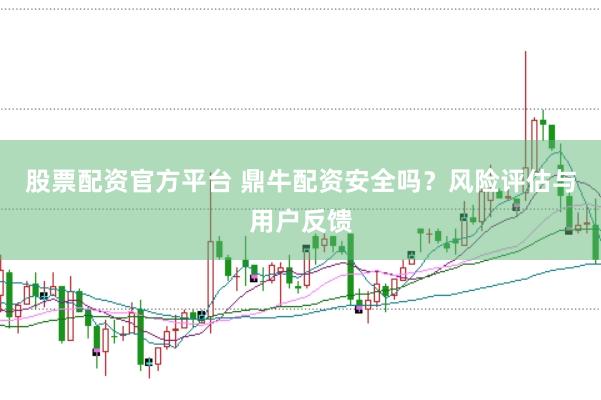 股票配资官方平台 鼎牛配资安全吗？风险评估与用户反馈