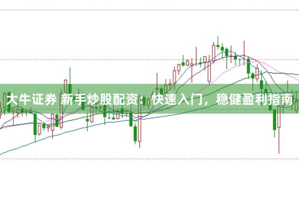 大牛证券 新手炒股配资：快速入门，稳健盈利指南