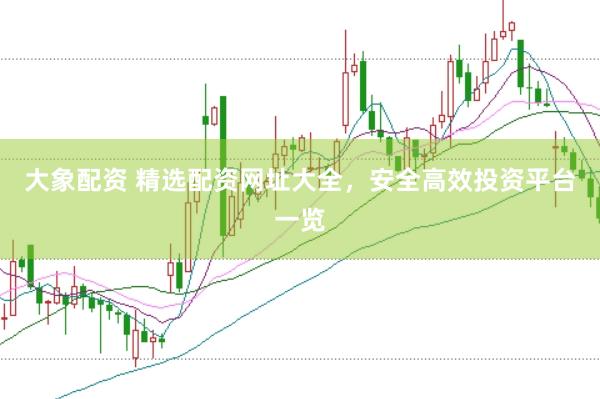 大象配资 精选配资网址大全，安全高效投资平台一览