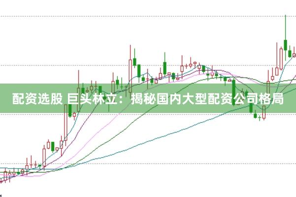 配资选股 巨头林立：揭秘国内大型配资公司格局