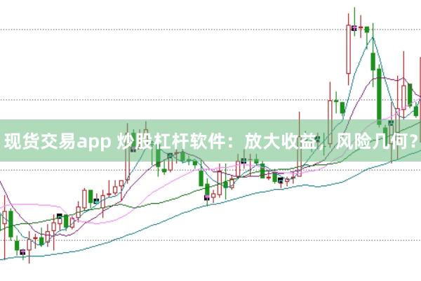 现货交易app 炒股杠杆软件:放大收益,风险几何?