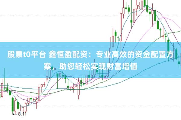 股票t0平台 鑫恒盈配资：专业高效的资金配置方案，助您轻松实现财富增值