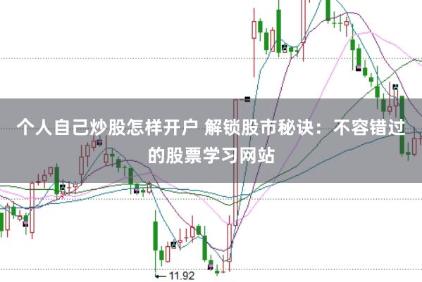 个人自己炒股怎样开户 解锁股市秘诀:不容错过的股票学习网站