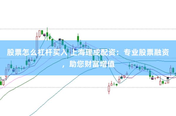 股票怎么杠杆买入 上海理成配资:专业股票融资,助您财富增值