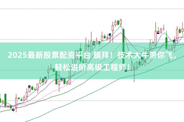 2025最新股票配资平台 膜拜!技术大牛带你飞,轻松进阶高级工程师!