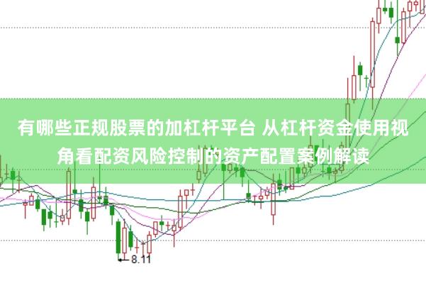 有哪些正规股票的加杠杆平台 从杠杆资金使用视角看配资风险控制的资产配置案例解读