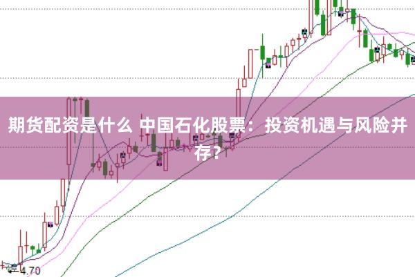 期货配资是什么 中国石化股票:投资机遇与风险并存?