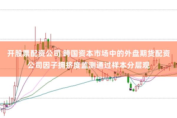 开股票配资公司 跨国资本市场中的外盘期货配资公司因子拥挤度监测通过样本分层观