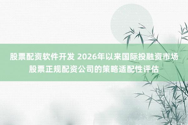 股票配资软件开发 2026年以来国际投融资市场股票正规配资公司的策略适配性评估
