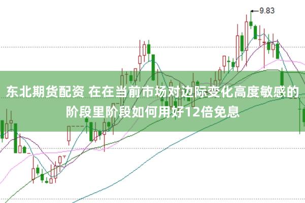 东北期货配资 在在当前市场对边际变化高度敏感的阶段里阶段如何用好12倍免息