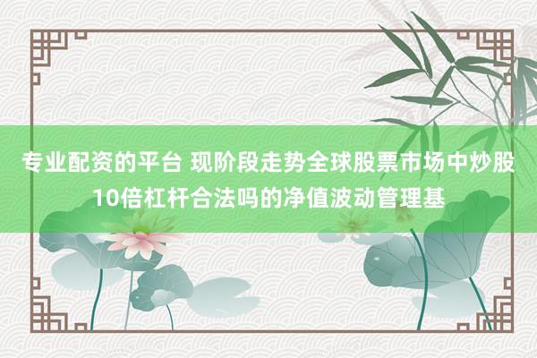专业配资的平台 现阶段走势全球股票市场中炒股10倍杠杆合法吗的净值波动管理基
