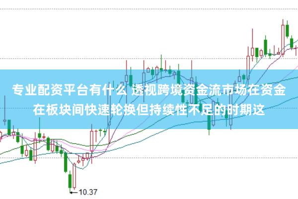 专业配资平台有什么 透视跨境资金流市场在资金在板块间快速轮换但持续性不足的时期这