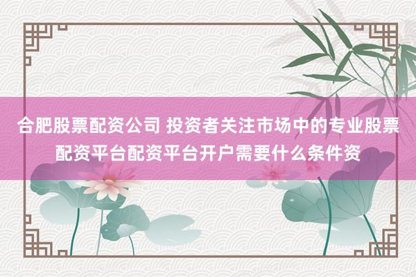 合肥股票配资公司 投资者关注市场中的专业股票配资平台配资平台开户需要什么条件资