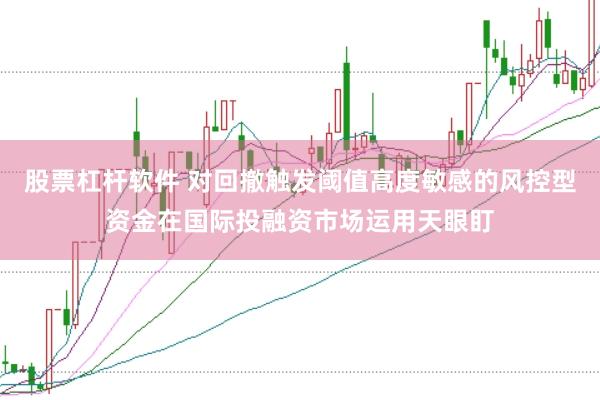 股票杠杆软件 对回撤触发阈值高度敏感的风控型资金在国际投融资市场运用天眼盯