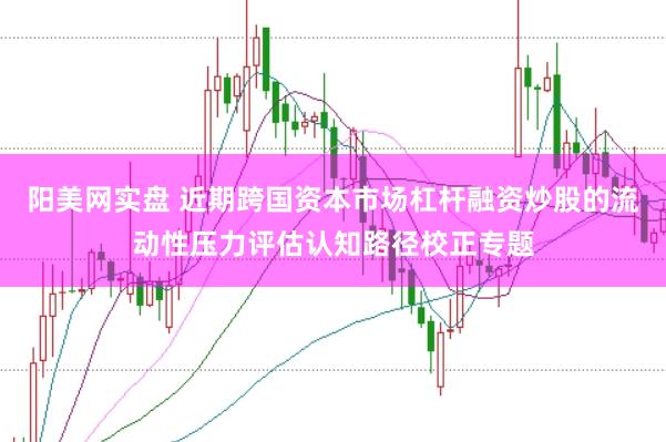 阳美网实盘 近期跨国资本市场杠杆融资炒股的流动性压力评估认知路径校正专题