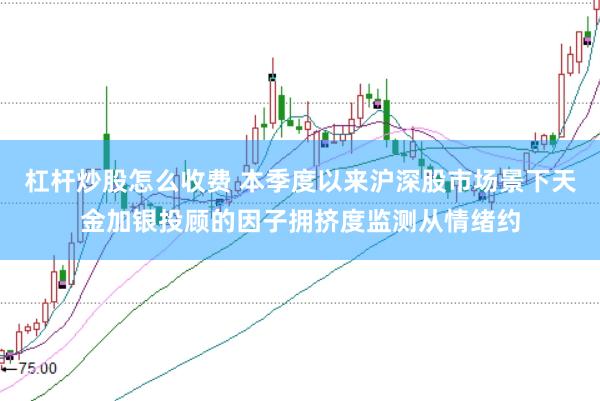杠杆炒股怎么收费 本季度以来沪深股市场景下天金加银投顾的因子拥挤度监测从情绪约
