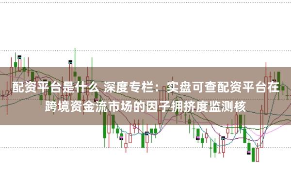配资平台是什么 深度专栏：实盘可查配资平台在跨境资金流市场的因子拥挤度监测核