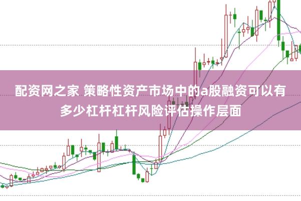 配资网之家 策略性资产市场中的a股融资可以有多少杠杆杠杆风险评估操作层面