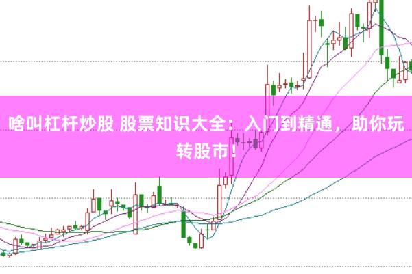 啥叫杠杆炒股 股票知识大全:入门到精通,助你玩转股市!