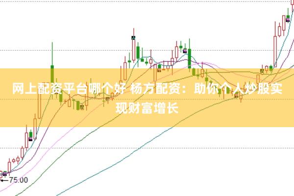 网上配资平台哪个好 杨方配资：助你个人炒股实现财富增长