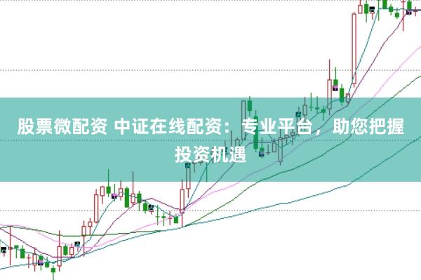 股票微配资 中证在线配资:专业平台,助您把握投资机遇