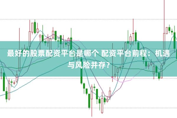 最好的股票配资平台是哪个 配资平台前程:机遇与风险并存?