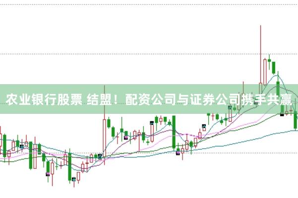 农业银行股票 结盟！配资公司与证券公司携手共赢